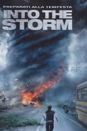 Into the Storm